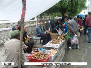 Pilzverkauf, Provinz Sichuan